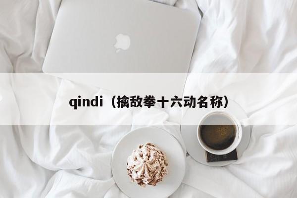 qindi（擒敌拳十六动名称）